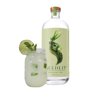 Featured image for Gut Healthy Ginger Lime Mule Mocktail